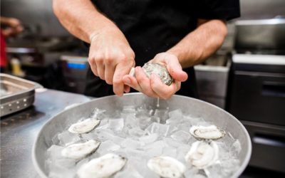 Is It Really Important to Buy Sustainable Products? How Shuckin’ Shack Is Already Doing It!